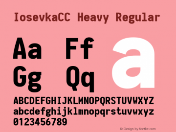 IosevkaCC Heavy Regular 1.11.1; ttfautohint (v1.6) Font Sample