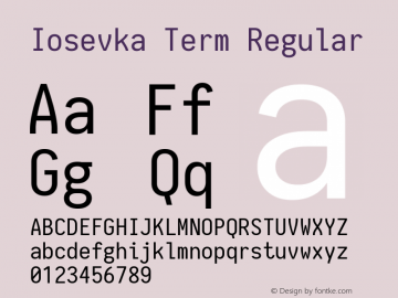 Iosevka Term Regular 1.11.1; ttfautohint (v1.6)图片样张