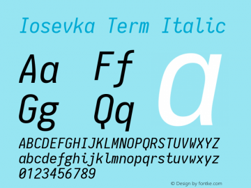 Iosevka Term Italic 1.11.1; ttfautohint (v1.6)图片样张