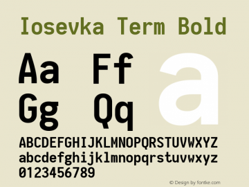 Iosevka Term Bold 1.11.1; ttfautohint (v1.6)图片样张