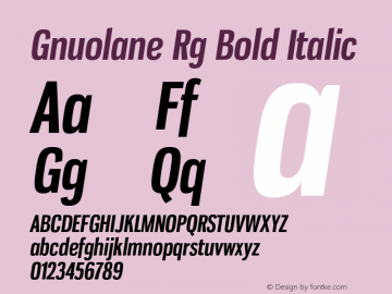 Gnuolane Rg Bold Italic Version 2.003 Font Sample