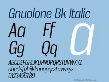 Gnuolane Bk Italic Version 2.003 Font Sample