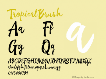 TropicalBrush ☞ Version 1.000; ttfautohint (v0.95) -d;com.myfonts.easy.sudtipos.tropical.brush.wfkit2.version.4He9图片样张