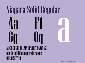 Niagara Solid Regular 001.000 Font Sample