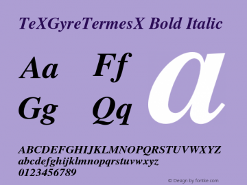 TeXGyreTermesX Bold Italic Version 2.004;PS 2.004;hotconv 1.0.49;makeotf.lib2.0.14853 Font Sample
