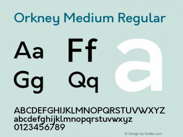 Orkney Medium Regular 1.0; ttfautohint (v1.5)图片样张