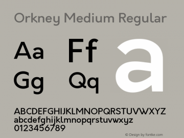 Orkney Medium Regular 1.0; ttfautohint (v1.5)图片样张