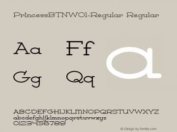 PrincessBTNW01-Regular Regular Version 1.00 Font Sample
