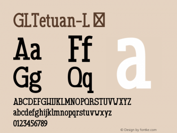 GLTetuan-L ☞ Version 1.000;com.myfonts.easy.fontbilisi.gl-tetuan.l.wfkit2.version.45YX Font Sample