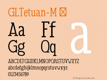 GLTetuan-M ☞ Version 1.000;com.myfonts.easy.fontbilisi.gl-tetuan.m.wfkit2.version.45YU Font Sample