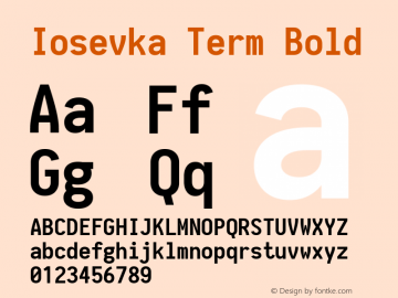 Iosevka Term Bold 1.11.2; ttfautohint (v1.6)图片样张