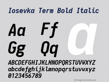 Iosevka Term Bold Italic 1.11.2; ttfautohint (v1.6)图片样张