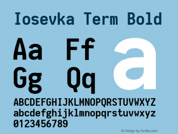 Iosevka Term Bold 1.11.2; ttfautohint (v1.6)图片样张