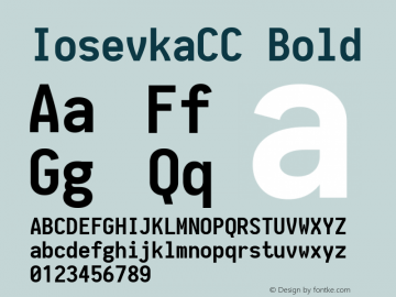 IosevkaCC Bold 1.11.2; ttfautohint (v1.6) Font Sample