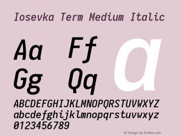 Iosevka Term Medium Italic 1.11.3; ttfautohint (v1.6)图片样张