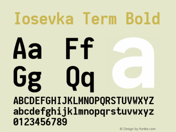 Iosevka Term Bold 1.11.3; ttfautohint (v1.6)图片样张