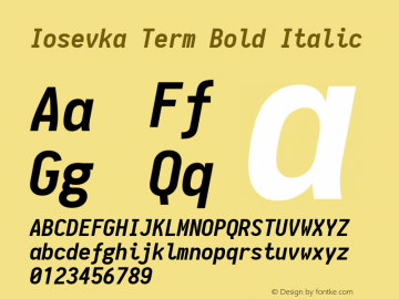 Iosevka Term Bold Italic 1.11.3; ttfautohint (v1.6)图片样张