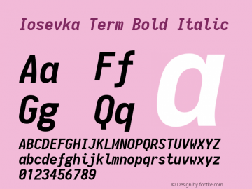 Iosevka Term Bold Italic 1.11.3; ttfautohint (v1.6)图片样张