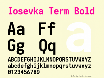 Iosevka Term Bold 1.11.3; ttfautohint (v1.6)图片样张