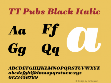 TT Pubs Black Italic Version 1.000图片样张