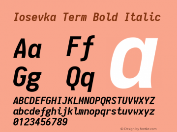 Iosevka Term Bold Italic 1.11.4; ttfautohint (v1.6)图片样张