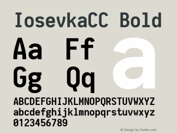 IosevkaCC Bold 1.11.4; ttfautohint (v1.6) Font Sample