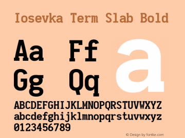 Iosevka Term Slab Bold 1.11.4; ttfautohint (v1.6)图片样张