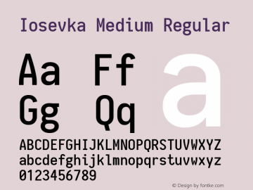 Iosevka Medium Regular 1.11.4; ttfautohint (v1.6) Font Sample