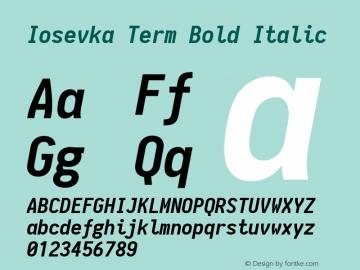 Iosevka Term Bold Italic 1.11.4; ttfautohint (v1.6)图片样张