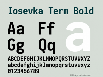 Iosevka Term Bold 1.11.4; ttfautohint (v1.6)图片样张