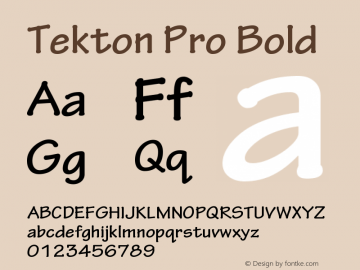 Tekton Pro Bold Version 2.070;PS 2.000;hotconv 1.0.67;makeotf.lib2.5.33168 Font Sample