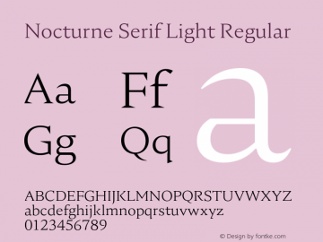 Nocturne Serif Light Regular Version 1.000;PS 001.000;hotconv 1.0.88;makeotf.lib2.5.64775图片样张