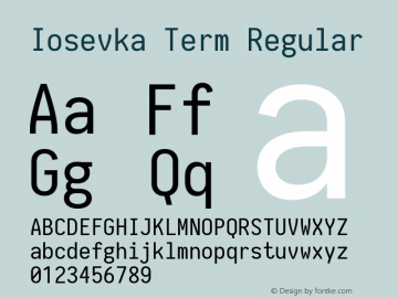 Iosevka Term Regular 1.11.5; ttfautohint (v1.6)图片样张
