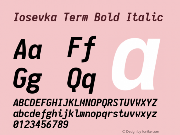 Iosevka Term Bold Italic 1.11.5; ttfautohint (v1.6)图片样张