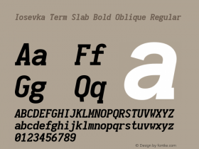 Iosevka Term Slab Bold Oblique Regular 1.11.5; ttfautohint (v1.6)图片样张