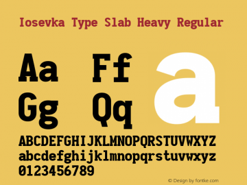 Iosevka Type Slab Heavy Regular 1.11.5; ttfautohint (v1.6) Font Sample