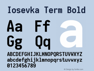 Iosevka Term Bold 1.11.5; ttfautohint (v1.6)图片样张