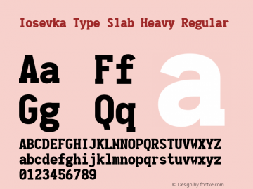Iosevka Type Slab Heavy Regular 1.11.5; ttfautohint (v1.6) Font Sample