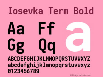 Iosevka Term Bold 1.12.0; ttfautohint (v1.6)图片样张