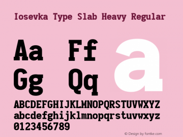 Iosevka Type Slab Heavy Regular 1.12.0; ttfautohint (v1.6) Font Sample