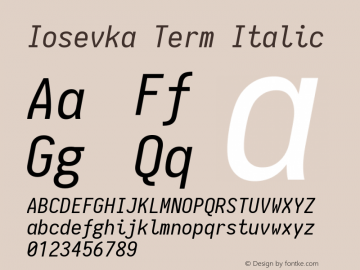 Iosevka Term Italic 1.12.0; ttfautohint (v1.6)图片样张