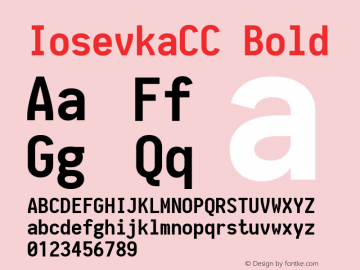 IosevkaCC Bold 1.12.0; ttfautohint (v1.6) Font Sample