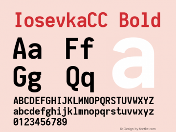 IosevkaCC Bold 1.12.1; ttfautohint (v1.6) Font Sample