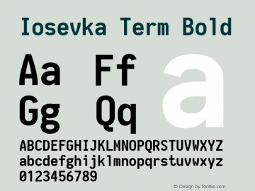 Iosevka Term Bold 1.12.1; ttfautohint (v1.6)图片样张