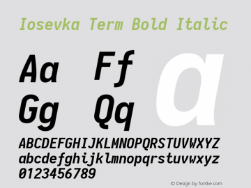 Iosevka Term Bold Italic 1.12.1; ttfautohint (v1.6)图片样张