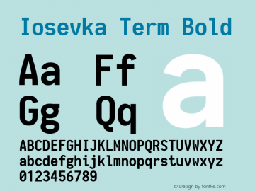 Iosevka Term Bold 1.12.1; ttfautohint (v1.6)图片样张