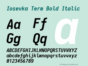 Iosevka Term Bold Italic 1.12.1; ttfautohint (v1.6)图片样张