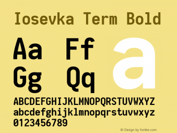 Iosevka Term Bold 1.12.1; ttfautohint (v1.6)图片样张