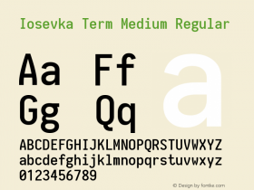 Iosevka Term Medium Regular 1.12.2; ttfautohint (v1.6) Font Sample