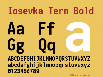 Iosevka Term Bold 1.12.2; ttfautohint (v1.6)图片样张